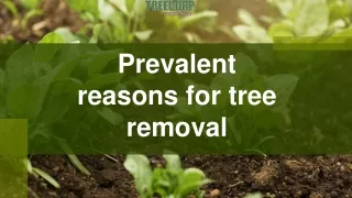 Prevalent reasons for tree removal