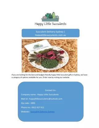 succulent delivery sydney happylittlesucculents