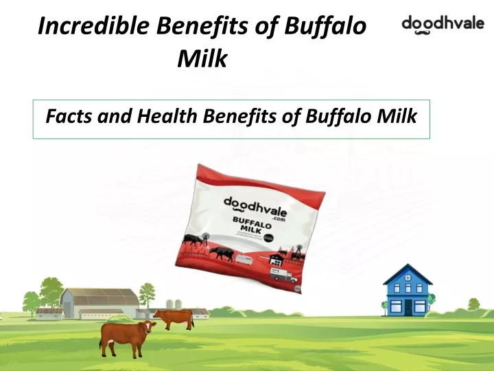 incredible benefits of buffalo milk