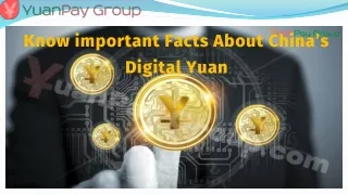 Important Facts About Digital Yuan