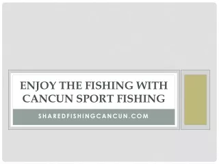 Cancun Spot Fishing | Shared Fishing Cancun