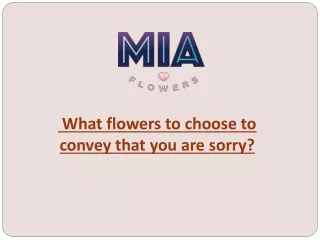What flowers to choose to convey that you are sorry?