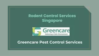 Rodent Control Services Singapore - Greencare