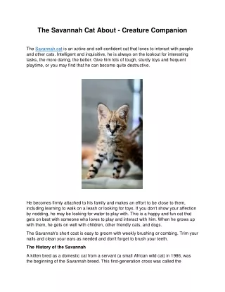 the savannah cat about creature companion