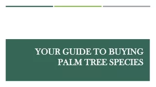 Your Guide To Buying Palm Tree Species