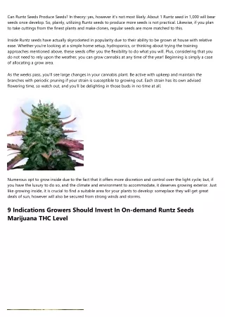 The Leading Causes People Do Well With Promising Runtz Seeds Weed Packaging