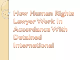 How Human Rights Lawyer Work In Accordance With Detained International