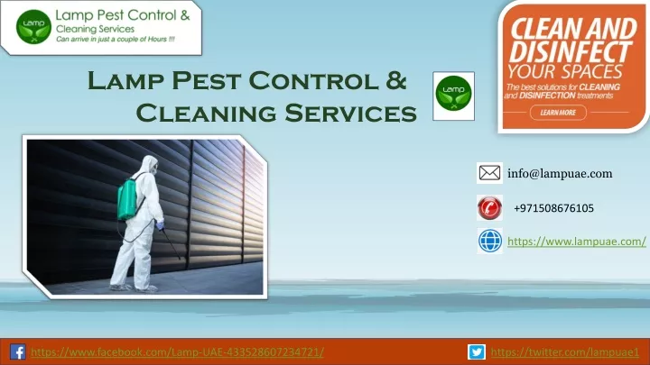 lamp pest control cleaning services