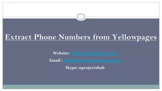 extract phone numbers from yellowpages
