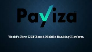 Payiza-DLT based platform