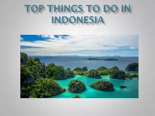top things to do in indonesia
