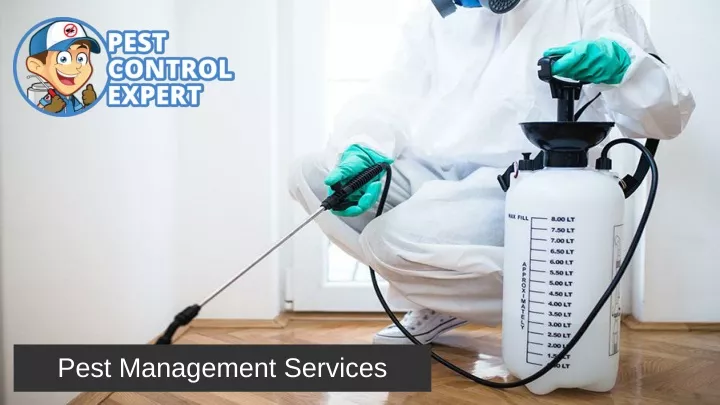 pest management services