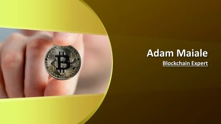 adam maiale blockchain expert