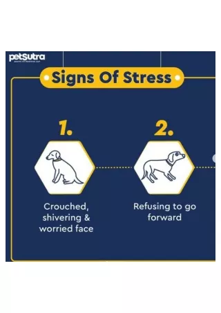Sings of Stress in Dogs - PetSutra
