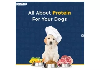 Protein Diet For Dogs - Dog Diet - PetSutra