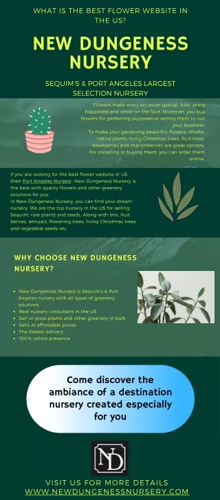 Make Your Garden Beautiful With New Dungeness Nursery