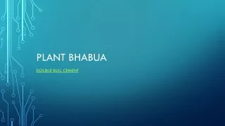 Bhabua Cement Plant| Cement Companies | Double Bull Cement