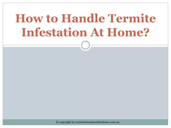 how to handle termite infestation at home