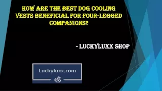 How Are The Best Dog Cooling Vests Beneficial For Four-Legged Companions