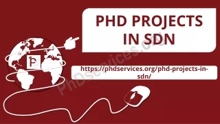 PHD PROJECTS IN SDN