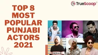 Top 8 Most Popular Punjabi Actors 2021