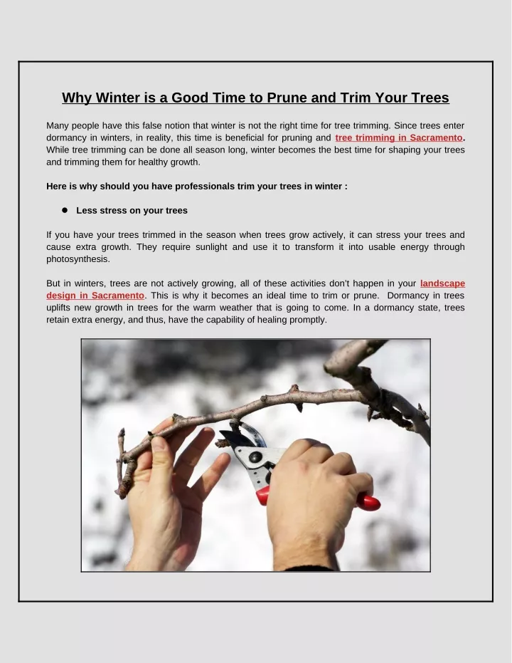 why winter is a good time to prune and trim your