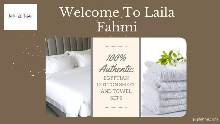 welcome to laila fahmi