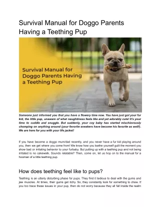 Survival Manual for Doggo Parents Having a Teething Pup