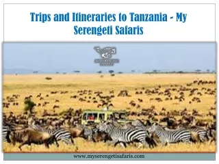 Trips and Itineraries to Tanzania - My Serengeti Safaris