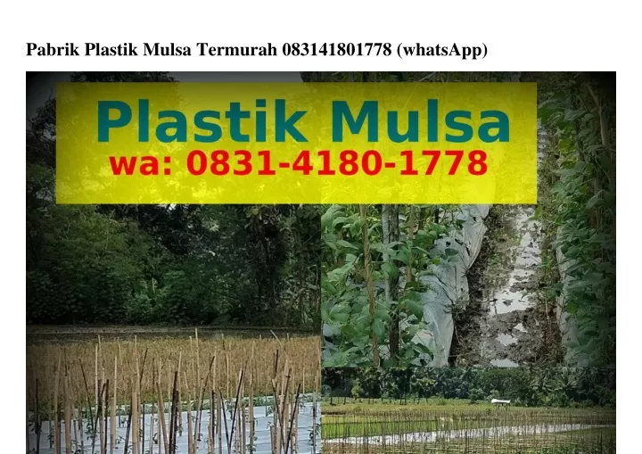 pabrik plastik mulsa termurah 083141801778