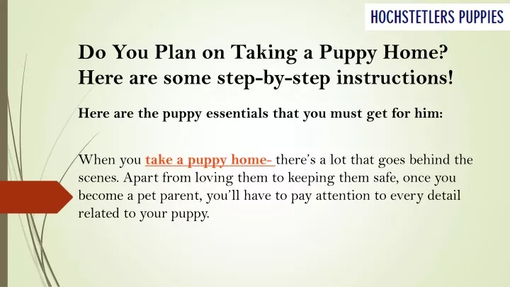 do you plan on taking a puppy home here are some step by step instructions