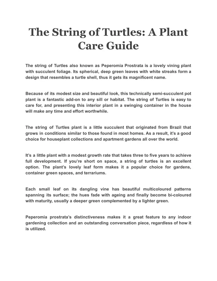 the string of turtles a plant care guide