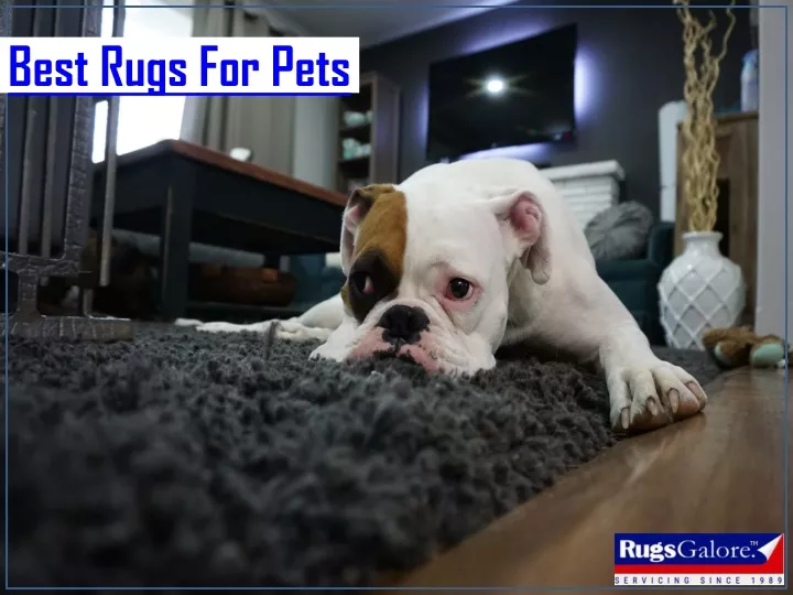 best rugs for pets