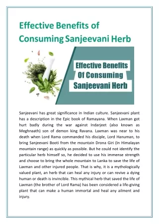 sanjeevani has great significance in indian