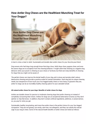 How Antler Dog Chews Are the Healthiest Munching Treat for Your Doggo_