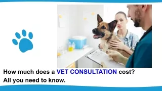How much does a VET CONSULTATION cost_ All you need to know..pptx