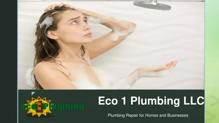 plumbing repair for homes and businesses
