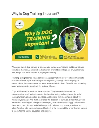 why is dog training important