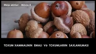 TOXUM XAMMALININ  EMALI  VƏ  TOXUMLARIIN  SAXLANILMASI