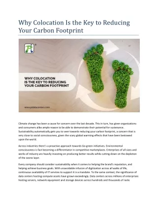 Why Colocation Is the Key to Reducing Your Carbon Footprint