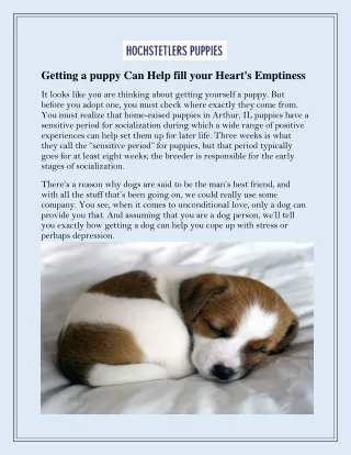 Getting a puppy Can Help fill your Heart's Emptiness