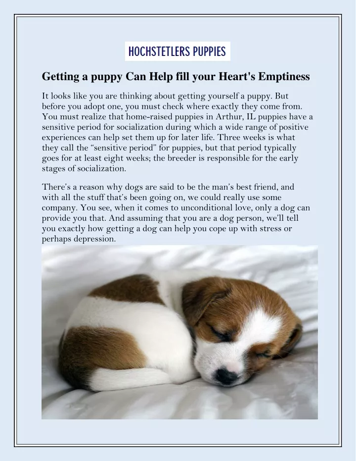 getting a puppy can help fill your heart