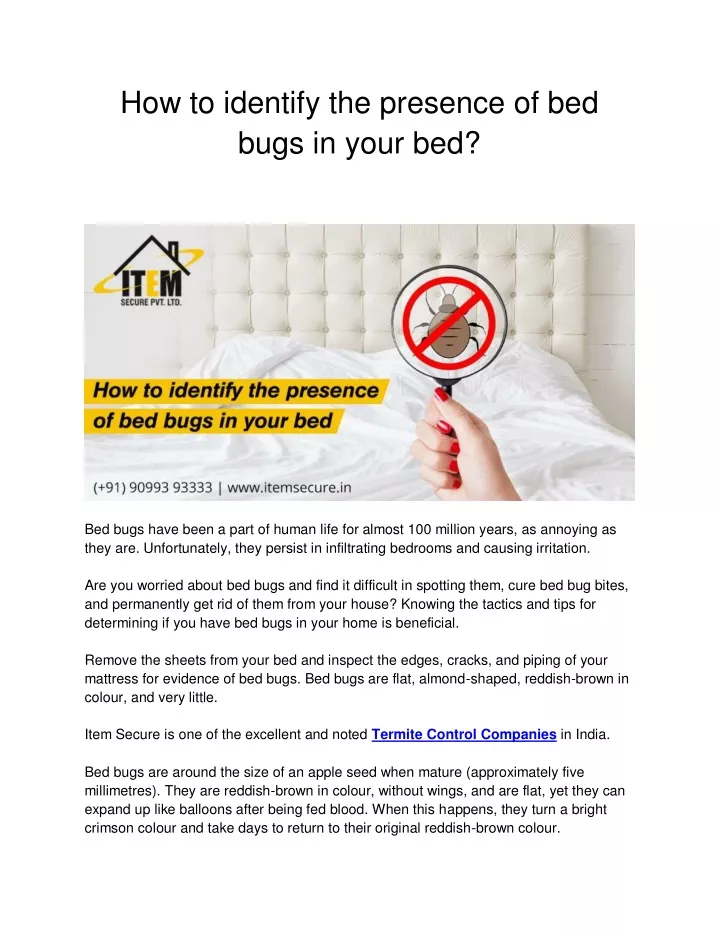 how to identify the presence of bed bugs in your