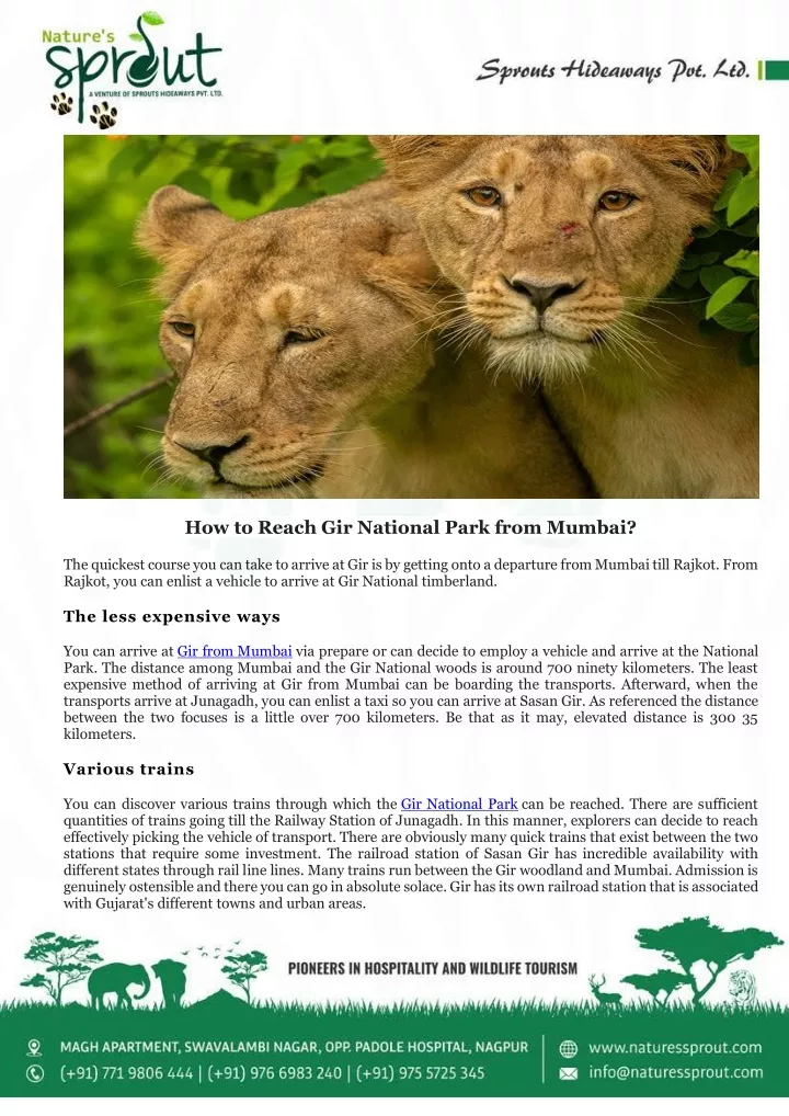 PPT - How to Reach Gir National Park from Mumbai PowerPoint ...