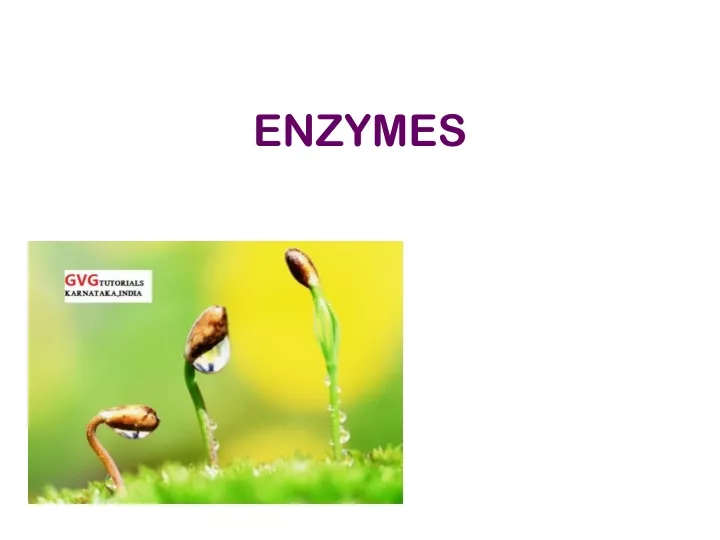 enzymes