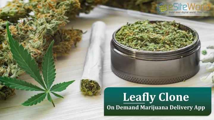 leafly clone on demand marijuana delivery app