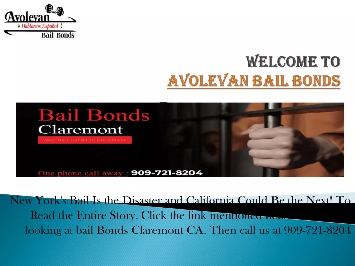 welcome to avolevan bail bonds
