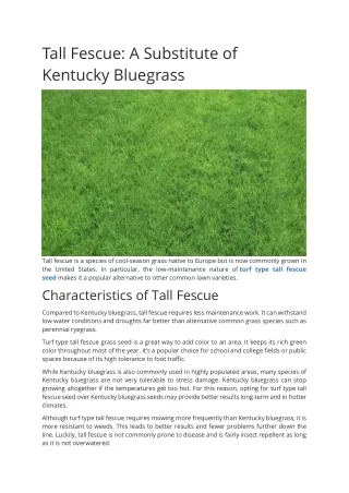 Tall Fescue A Substitute of Kentucky Bluegrass