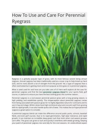 How To Use and Care For Perennial Ryegrass