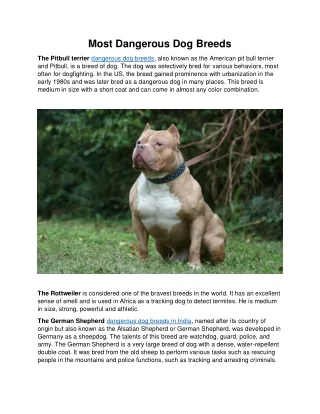 most dangerous dog breeds